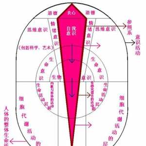 庞老师精讲：以道求心，当下即是